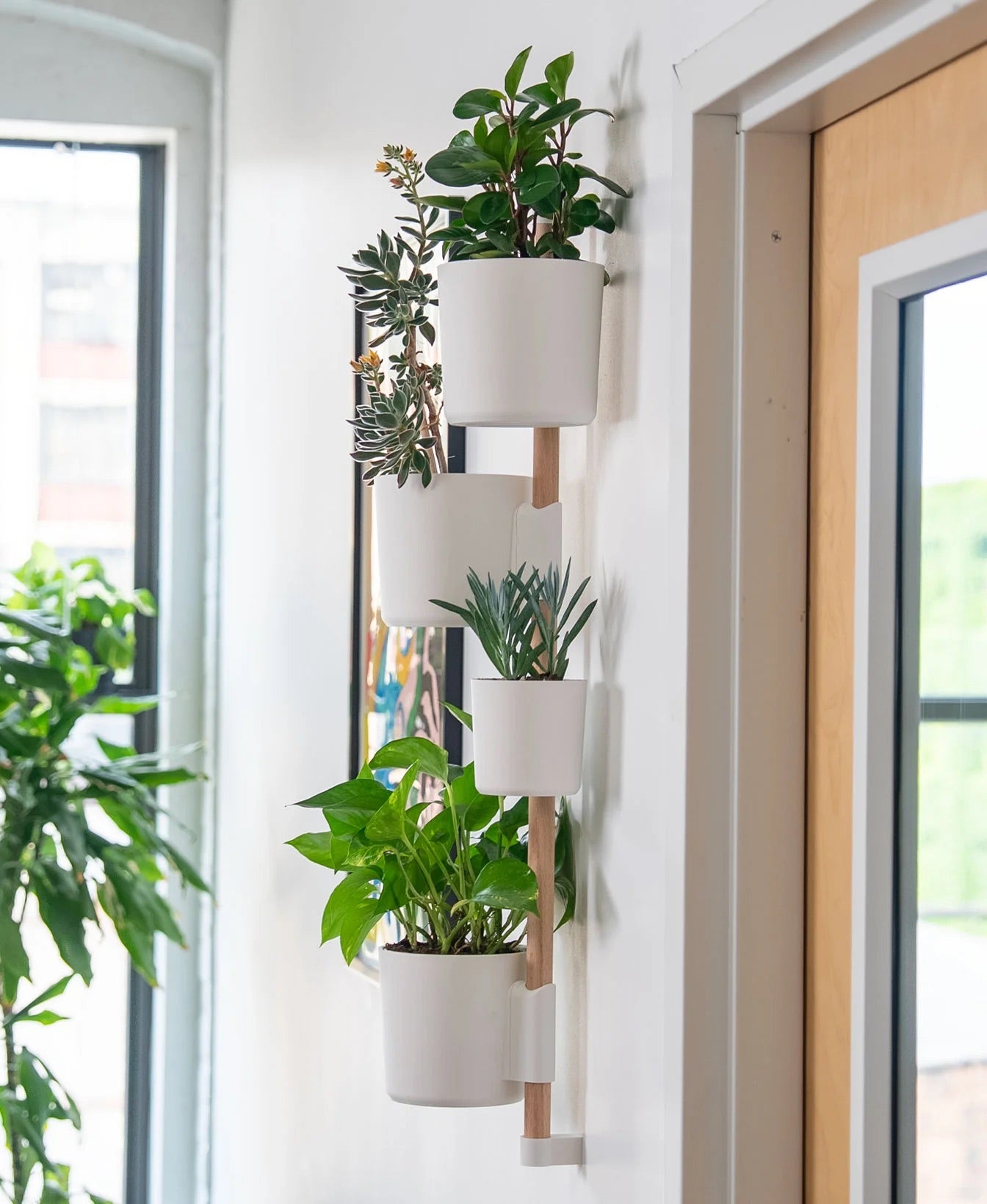 The Wedge Vertical Rail Planter: Wall Mounted System by Lofted Goods