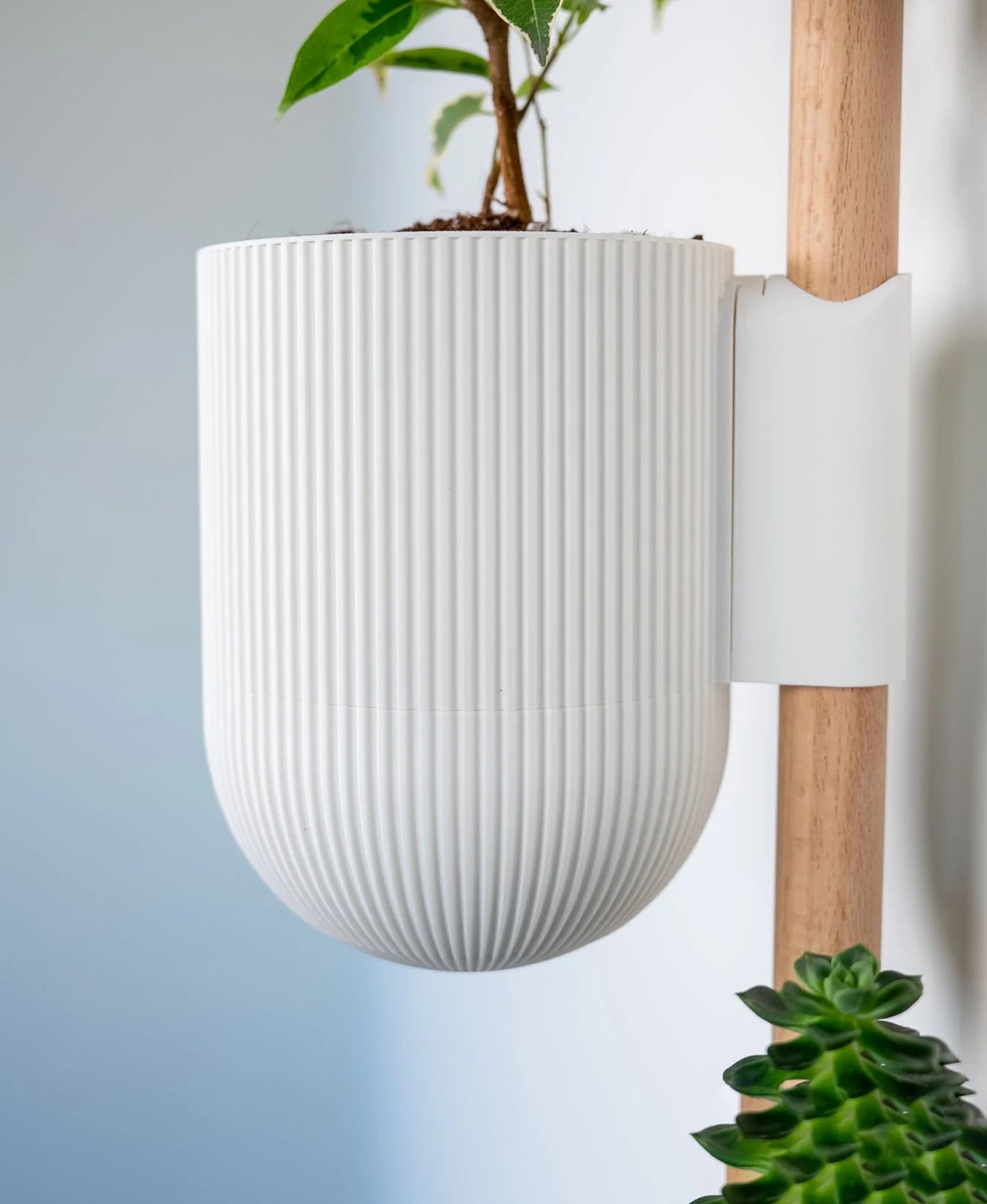 The Ira Vertical Rail Planter: Wall Mounted System by Lofted Goods