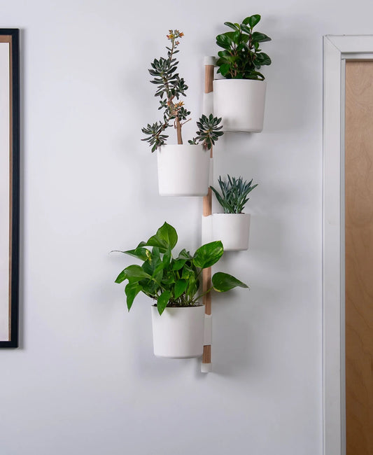 The Wedge Vertical Rail Planter: Wall Mounted System by Lofted Goods