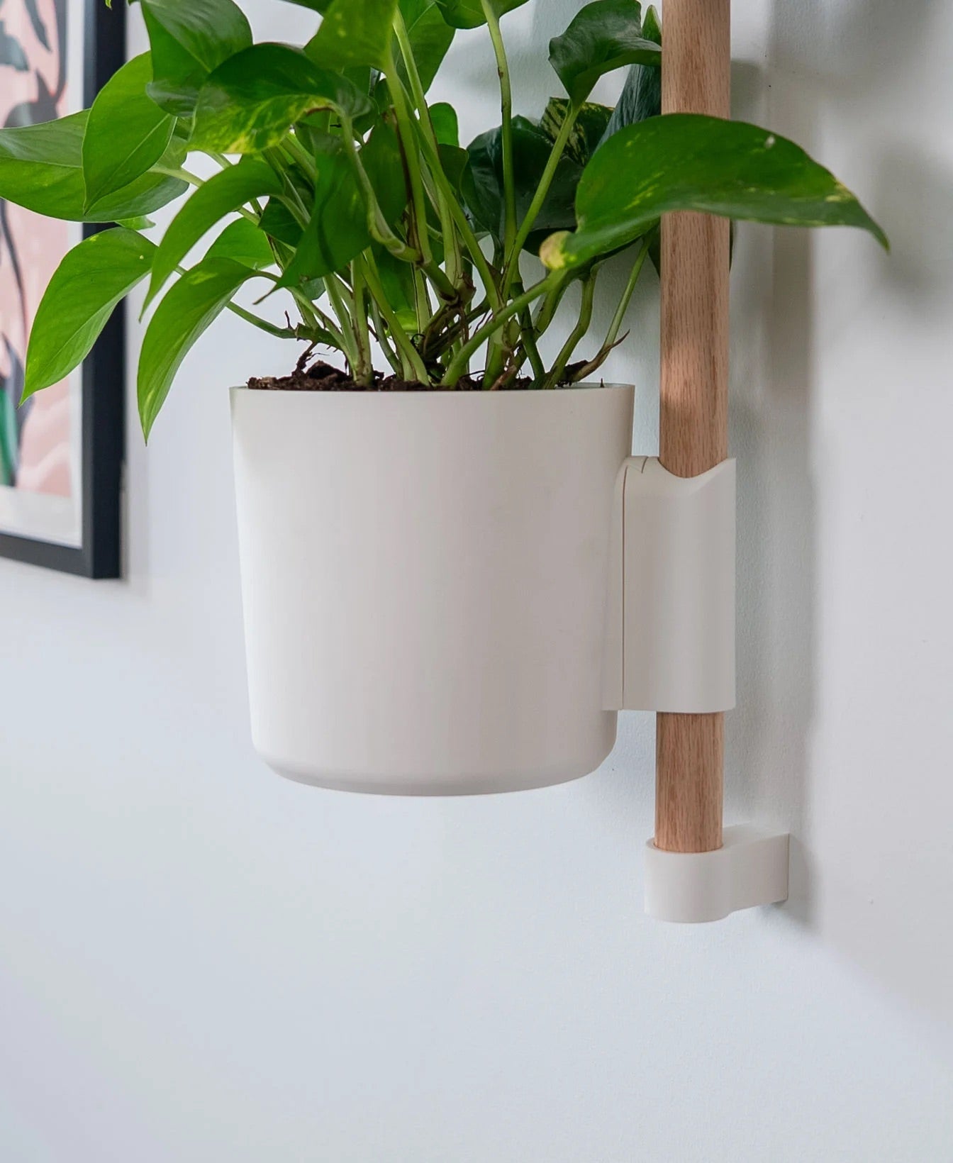 The Wedge Vertical Rail Planter: Wall Mounted System by Lofted Goods