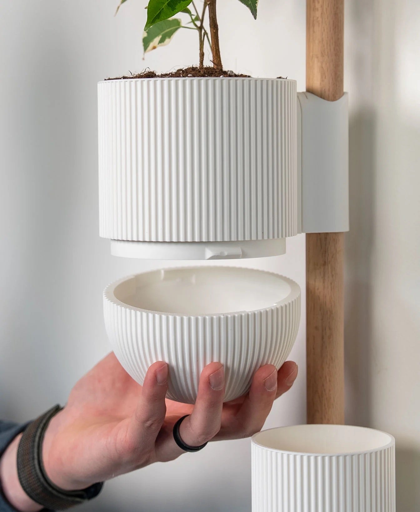 The Ira Vertical Rail Planter: Wall Mounted System by Lofted Goods