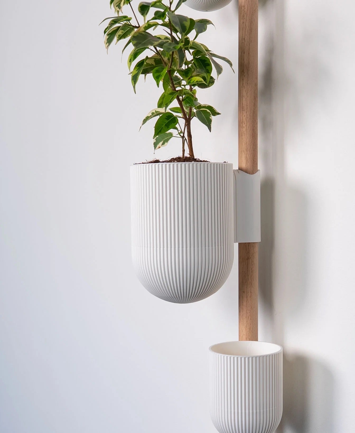 The Ira Vertical Rail Planter: Wall Mounted System by Lofted Goods