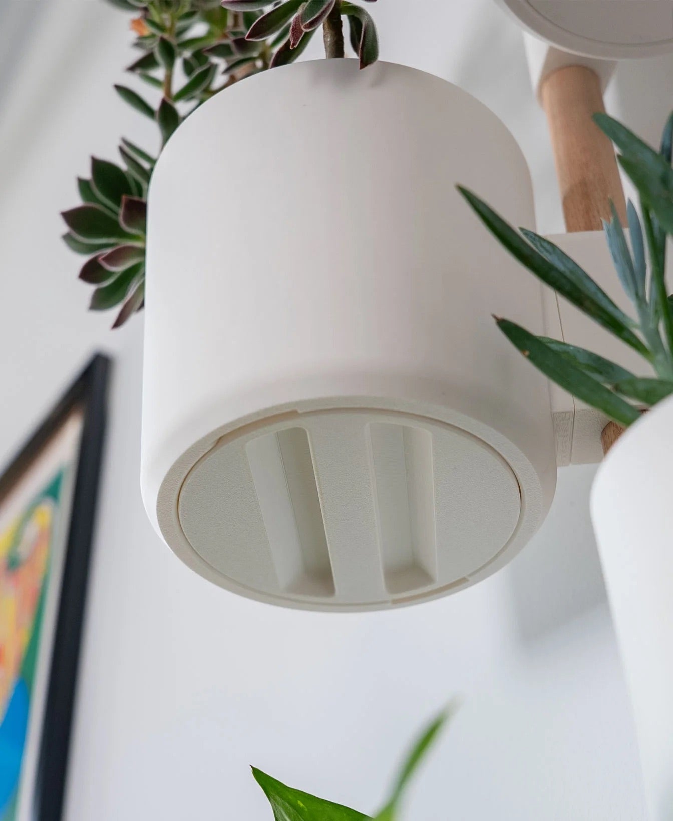 The Wedge Vertical Rail Planter: Wall Mounted System by Lofted Goods