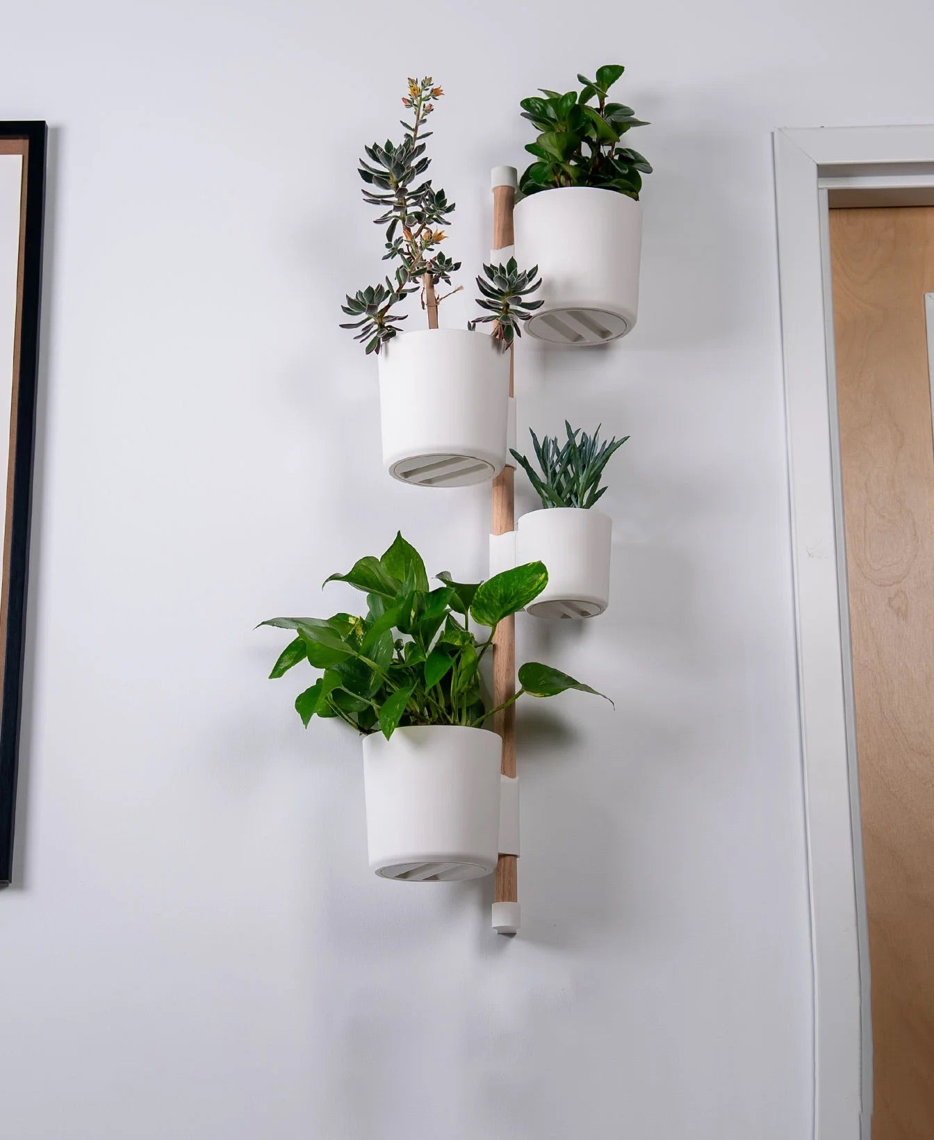The Wedge Vertical Rail Planter: Wall Mounted System by Lofted Goods
