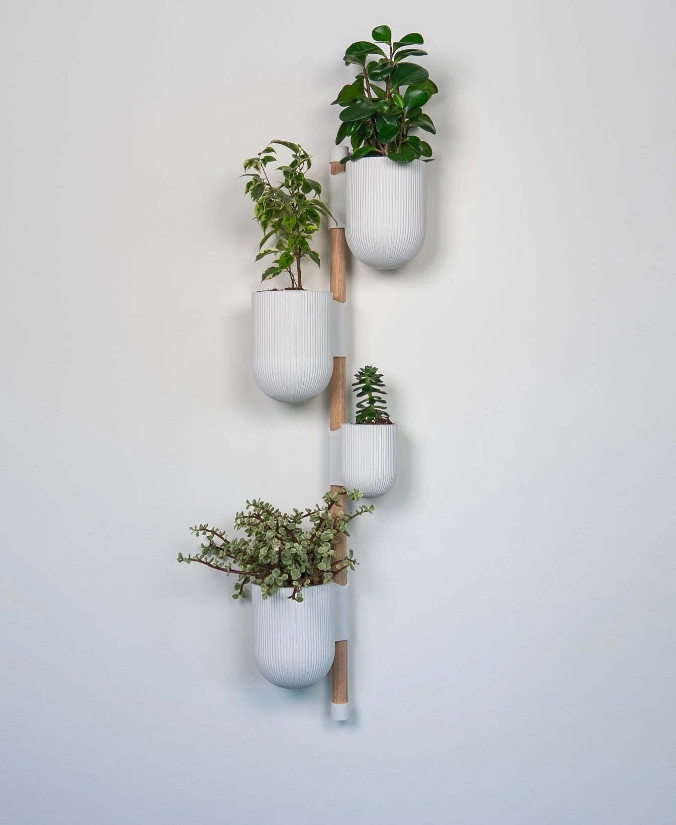 The Ira Vertical Rail Planter: Wall Mounted System by Lofted Goods