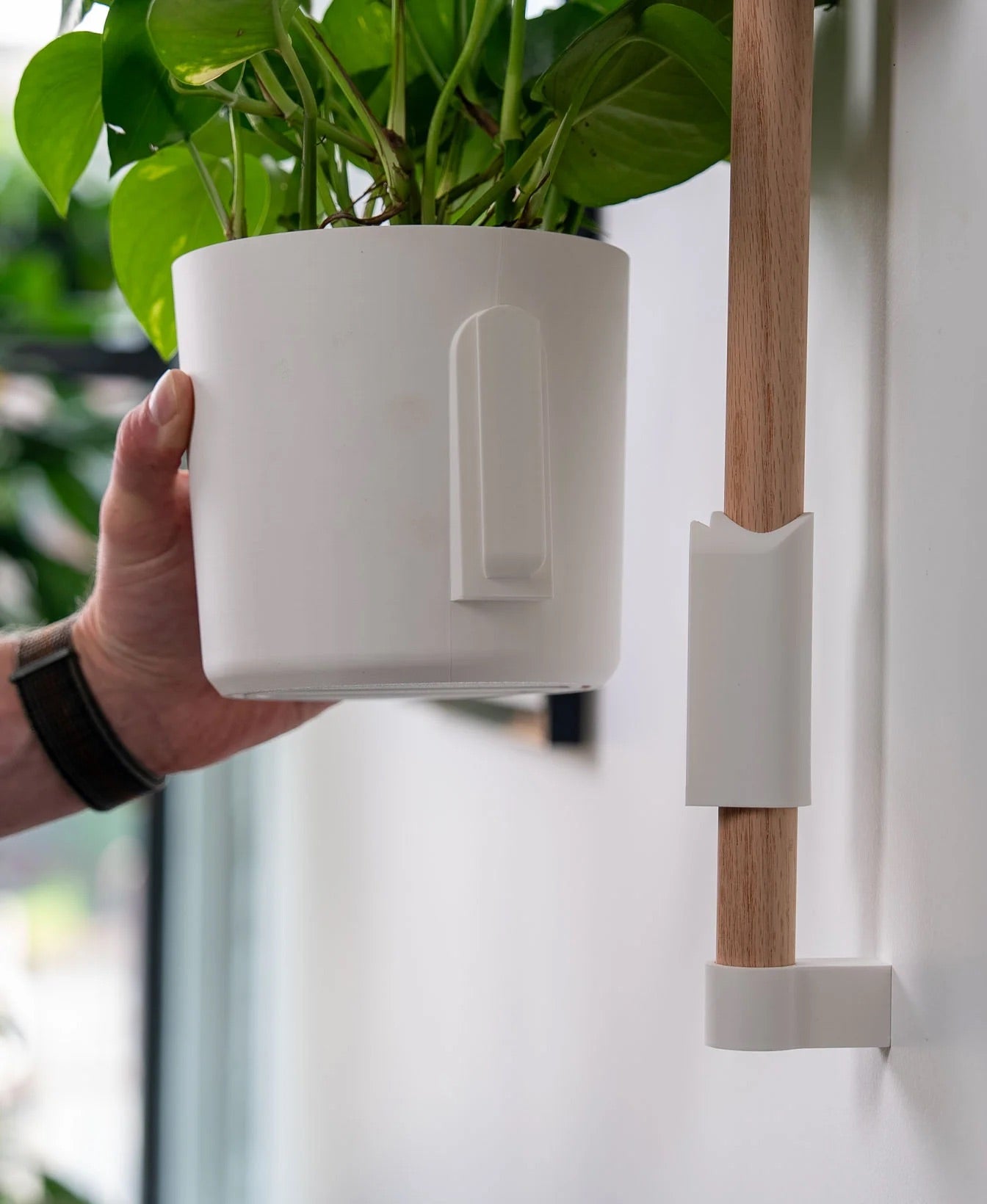 The Wedge Vertical Rail Planter: Wall Mounted System by Lofted Goods