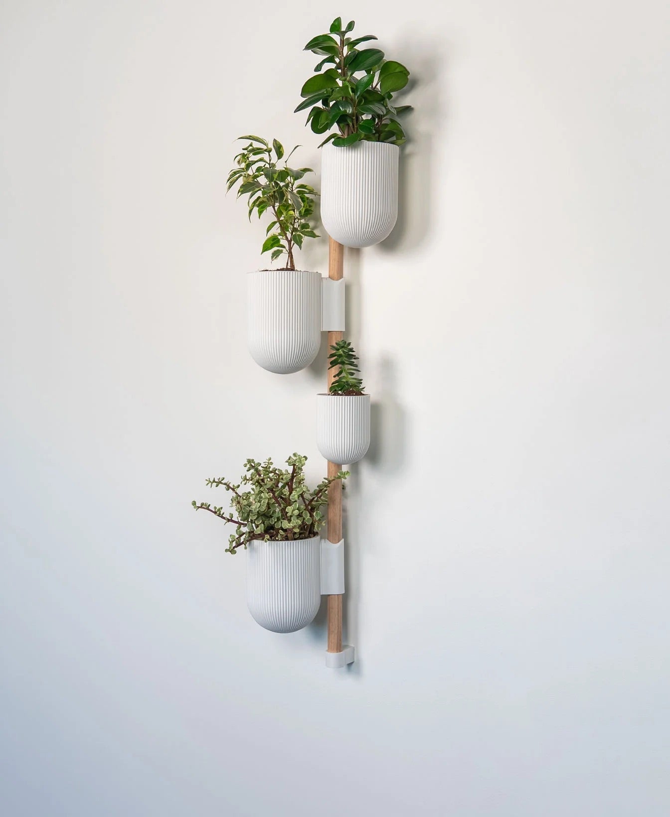 The Ira Vertical Rail Planter: Wall Mounted System by Lofted Goods