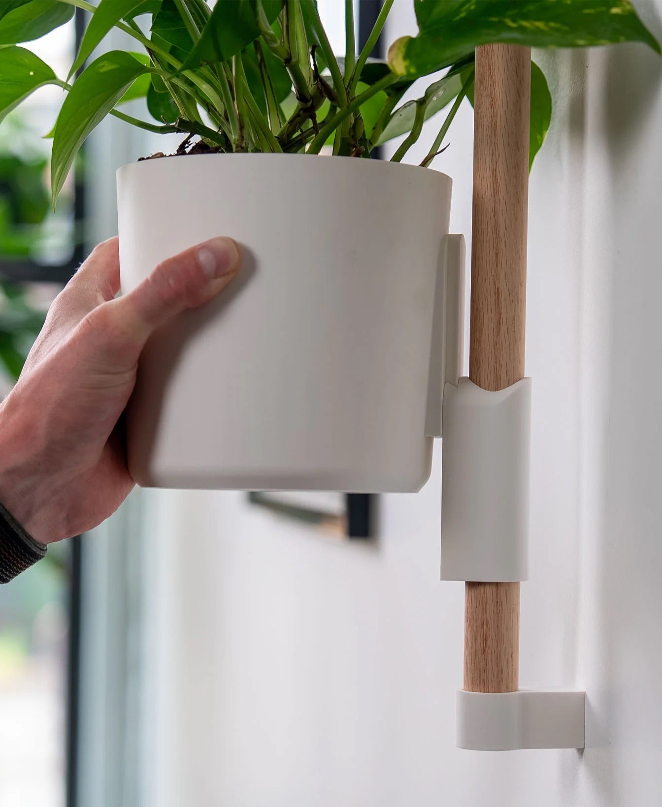 The Wedge Vertical Rail Planter: Wall Mounted System by Lofted Goods