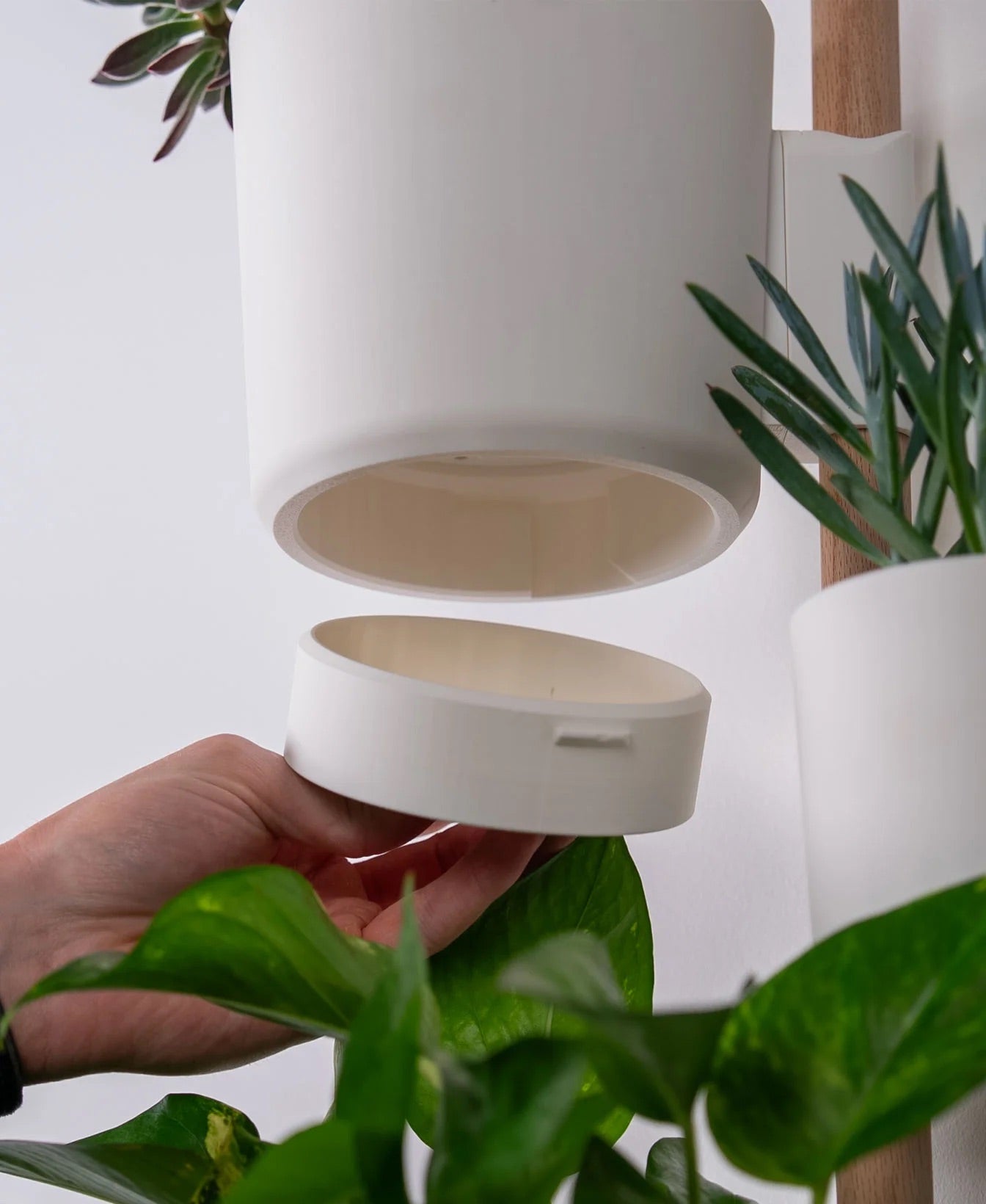 The Wedge Vertical Rail Planter: Wall Mounted System by Lofted Goods